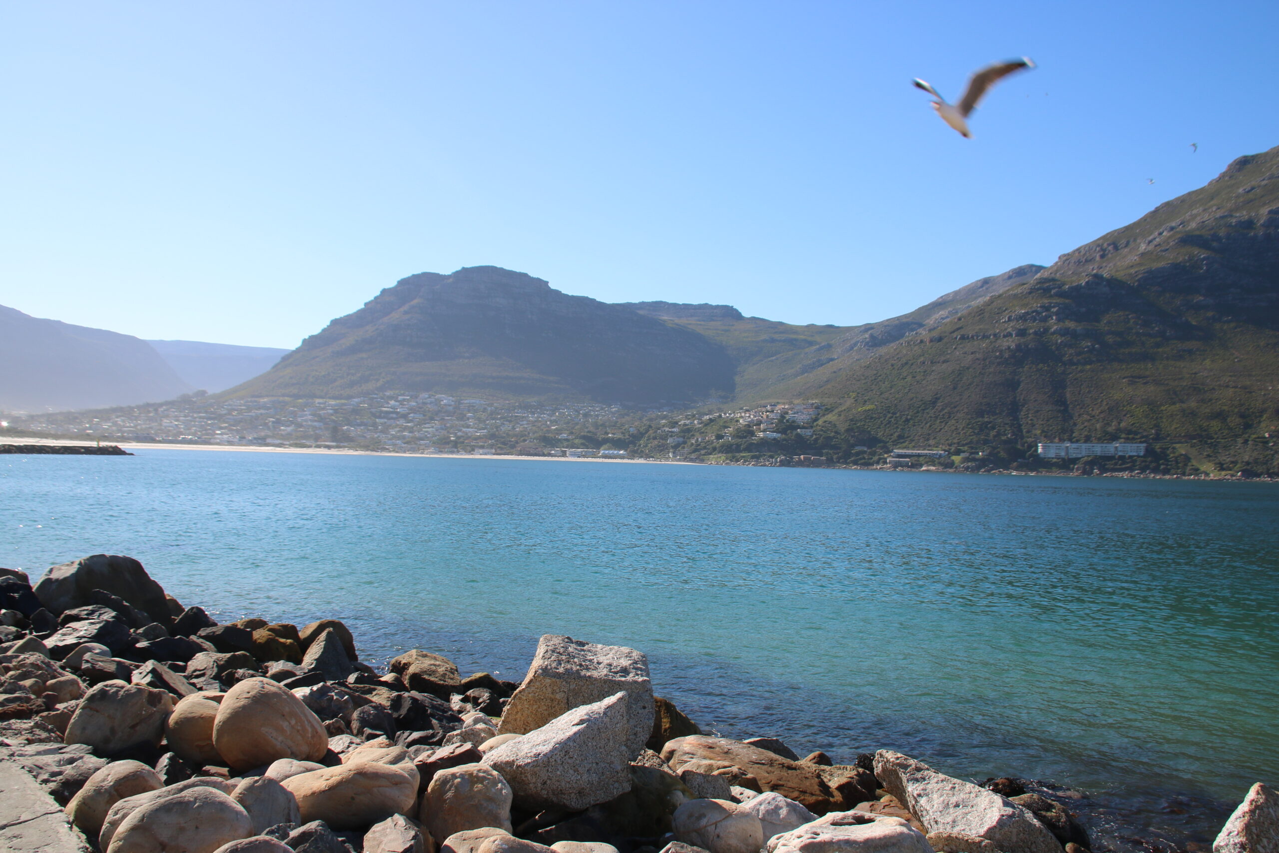 Chapmans Peak Drive